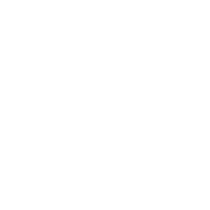 Quick Shipping
